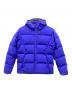 Patagonia（パタゴニア）の古着「ジャクソングレイシャーダウンジャケット」｜ブルー