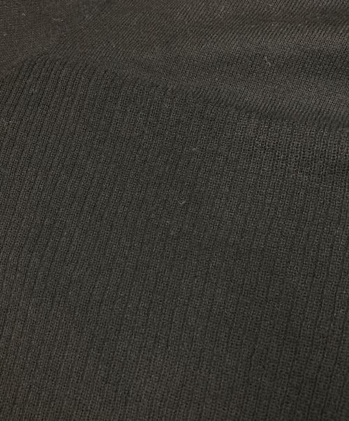 polaura（ポロ―ラ）polaura (ポロ―ラ) ロングスリーブシアータートルネック ブラック サイズ:FREEの古着・服飾アイテム