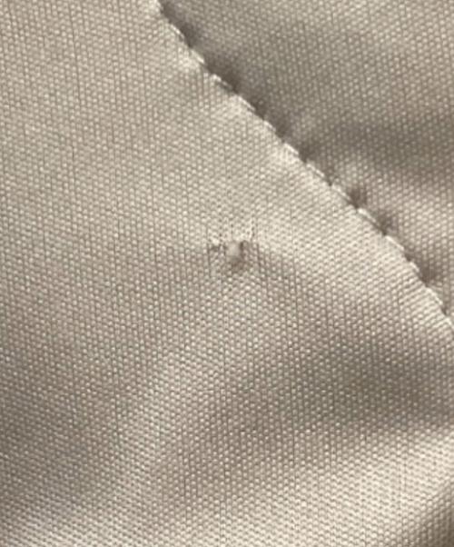 TADASHI SHOJI（タダシ ショージ）TADASHI SHOJI (タダシ ショージ) ドレス ベージュ サイズ:2の古着・服飾アイテム