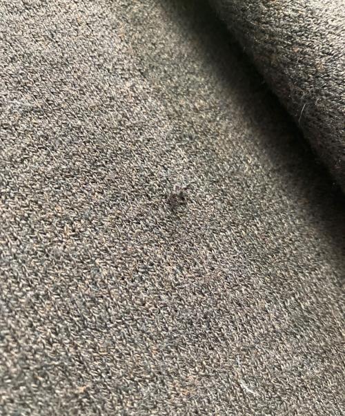 ARPEGE STORY（アルページュストーリー）ARPEGE STORY (アルページュストーリー) ニットパーカー ブラウン サイズ:2の古着・服飾アイテム