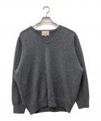 DEMYLEEデミリー）の古着「JOVIE カシミヤハイVネックニットプルオーバー」｜グレー