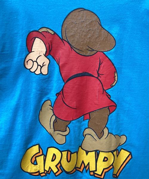 FRUIT OF THE LOOM（フルーツオブザルーム）FRUIT OF THE LOOM (フルーツオブザルーム) Grumpy 両面プリントTシャツ ブルー サイズ:Lの古着・服飾アイテム