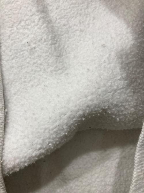 Champion（チャンピオン）Champion (チャンピオン) 両V刺繍スウェット グレー サイズ:Mの古着・服飾アイテム