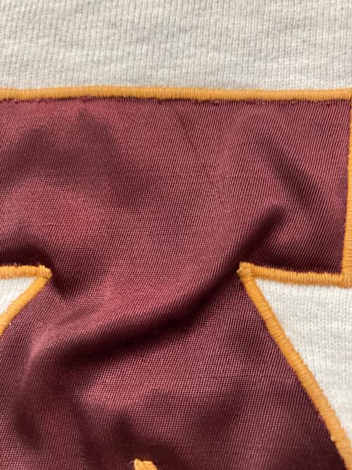 Champion（チャンピオン）Champion (チャンピオン) 両V刺繍スウェット グレー サイズ:Mの古着・服飾アイテム