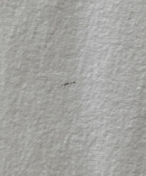 sfide（スフィーデ）sfide (スフィーデ) POPLIN SH アイボリー サイズ:38の古着・服飾アイテム