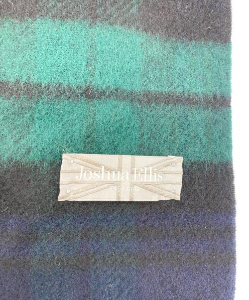JOSHUA ELLIS（ジョシュア エリス）Joshua Ellis (ジョシュア エリス) チェックマフラー グリーン×ネイビーの古着・服飾アイテム