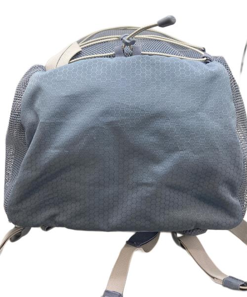 PALACE（パレス）PALACE (パレス) Cordura Eco Hex Ripstop Backpack/コーデュラ　エコ　ヘックス・リップストップ　バックパック スカイブルーの古着・服飾アイテム