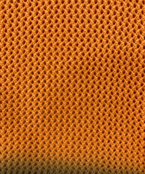 stussy（ステューシー）stussy (ステューシー) Pigment Dyed Loose Gauge/ピグメントダイルーズゲージ オレンジ サイズ:Lの古着・服飾アイテム