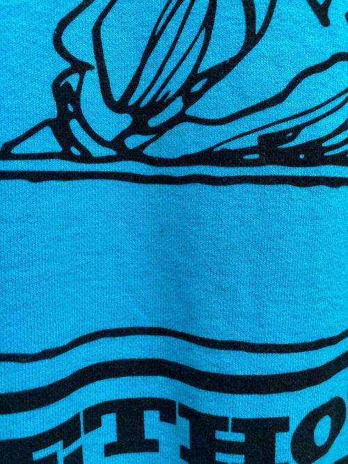 NEXUSVII（ネクサスセブン）NEXUSVII (ネクサスセブン) PEANUTS (ピーナッツ) SNP-BEETHOVEN CREW ブルー サイズ:MEDIUMの古着・服飾アイテム