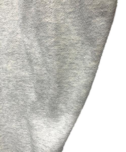 THE NORTH FACE（ザ ノース フェイス）THE NORTH FACE (ザ ノース フェイス) リアビューフルジップフーディ グレー サイズ:Ⅿの古着・服飾アイテム