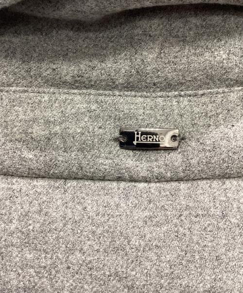 HERNO（ヘルノ）HERNO (ヘルノ) ダウンジャケット グレー サイズ:48の古着・服飾アイテム