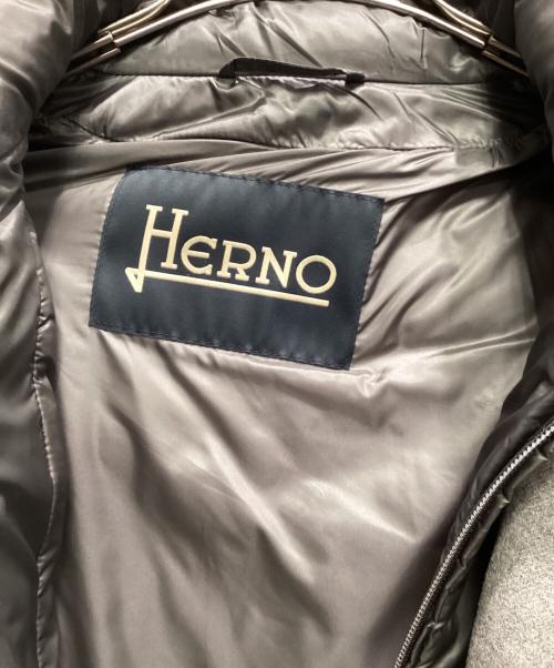 HERNO（ヘルノ）HERNO (ヘルノ) ダウンジャケット グレー サイズ:48の古着・服飾アイテム