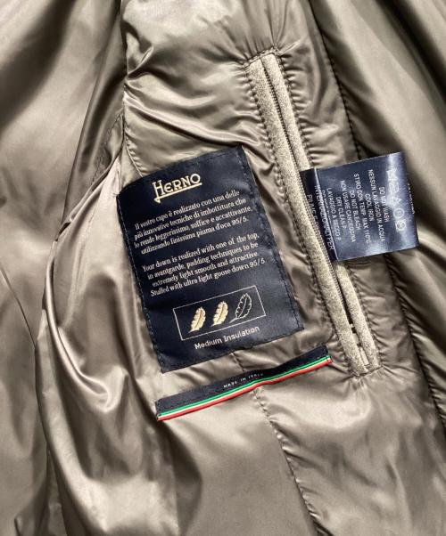 HERNO（ヘルノ）HERNO (ヘルノ) ダウンジャケット グレー サイズ:48の古着・服飾アイテム