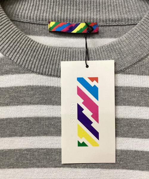 is-ness（イズネス）is-ness (イズネス) BALLOON T SHIRT(バルーンTシャツ) グレー×ホワイト サイズ:L 未使用品の古着・服飾アイテム