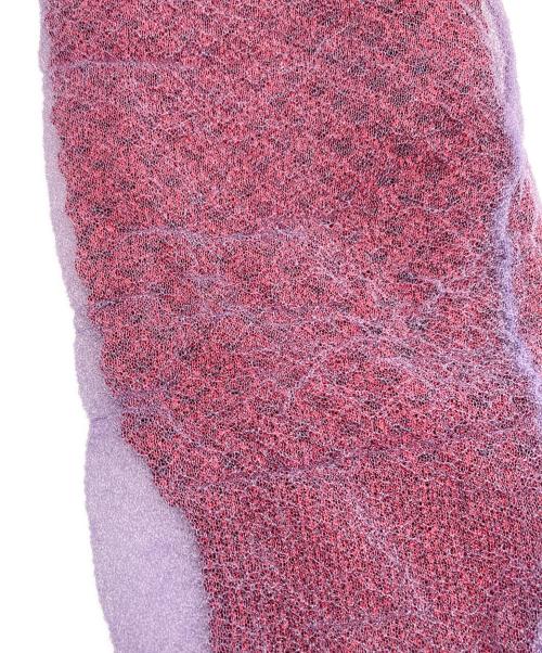 noir kei ninomiya（ノワール ケイ ニノミヤ）noir kei ninomiya (ノワール ケイ ニノミヤ) COMME des GARCONS (コムデギャルソン) 23AW チュールレイヤードニット レッド サイズ:Mの古着・服飾アイテム