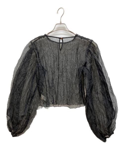 LEINWANDE（ラインヴァンド）LEINWANDE (ラインヴァンド) Recycle Organdy Pleats Top ブラック サイズ:Fの古着・服飾アイテム