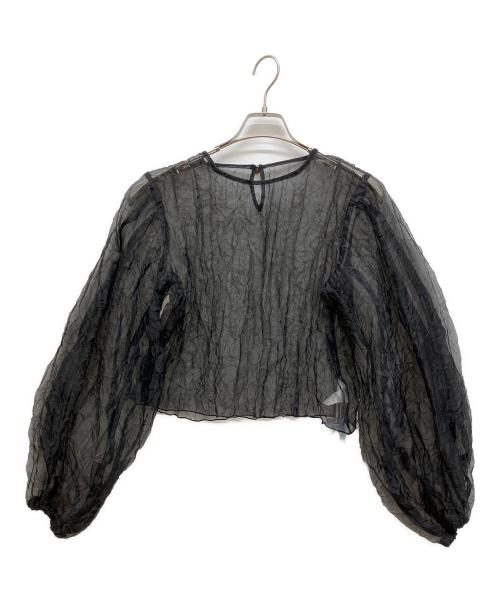 LEINWANDE（ラインヴァンド）LEINWANDE (ラインヴァンド) Recycle Organdy Pleats Top ブラック サイズ:Fの古着・服飾アイテム