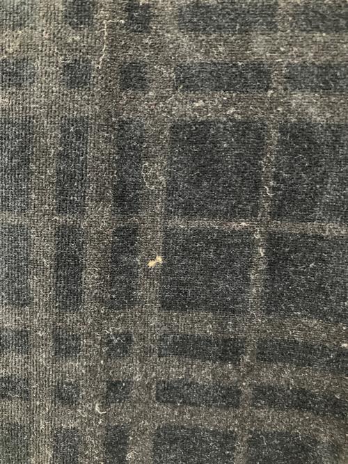 BURBERRY BLACK LABEL（バーバリーブラックレーベル）BURBERRY BLACK LABEL (バーバリーブラックレーベル) ベロアトラックジャケット ブラック サイズ:2の古着・服飾アイテム