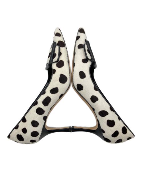 Manolo Blahnik（マノロ ブラニク）Manolo Blahnik (マノロ ブラニク) MAYSALE / カーフヘアバックルディテールパンプス ホワイト×ブラック サイズ:38 1/2の古着・服飾アイテム