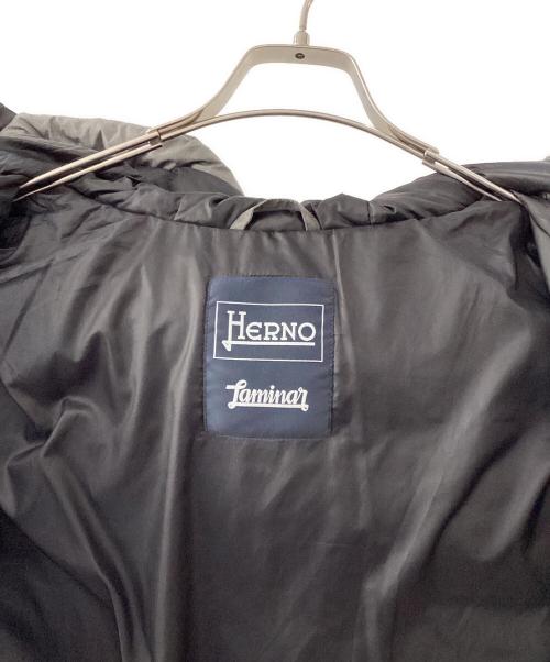 HERNO（ヘルノ）HERNO (ヘルノ) ダウンジャケット グレー サイズ:48の古着・服飾アイテム