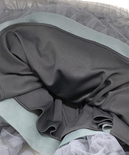 rosy monster（ロージーモンスター）rosy monster (ロージーモンスター) kushu kushu tulle skirt グレー サイズ:Fの古着・服飾アイテム