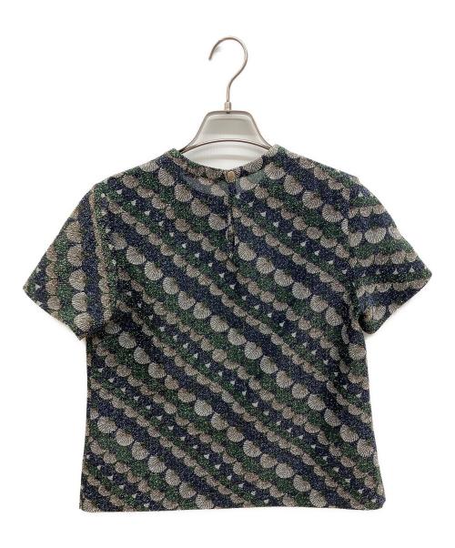 BACCA（バッカ）BACCA (バッカ) スケールプリント ラメカットソー グリーン サイズ:36 未使用品の古着・服飾アイテム