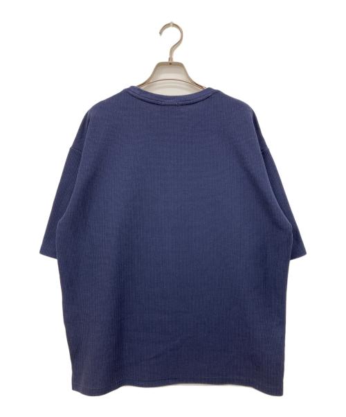 LACOSTE（ラコステ）LACOSTE (ラコステ) BEAUTY&YOUTH (ビューティーアンドユース) 1トーン ショートスリーブTシャツ ネイビー サイズ:Lの古着・服飾アイテム