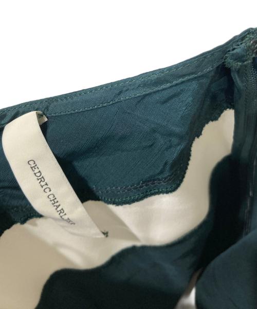 CEDRIC CHARLIER（セドリック シャルリエ）CEDRIC CHARLIER (セドリック シャルリエ) スカート グリーン×ホワイト サイズ:I 40の古着・服飾アイテム