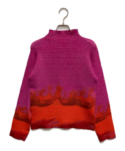 ISSEY MIYAKE（イッセイミヤケ）ISSEY MIYAKE (イッセイミヤケ) プリーツデザインカットソー レッド×ピンク サイズ:2の古着・服飾アイテム