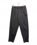 THE NORTH FACEザ ノース フェイス）の古着「MOUNTAIN COLOR PT」｜チャコールグレー