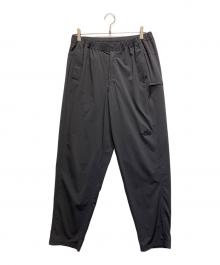 THE NORTH FACE（ザ ノース フェイス）の古着「MOUNTAIN COLOR PT」｜チャコールグレー