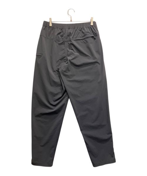 THE NORTH FACE（ザ ノース フェイス）THE NORTH FACE (ザ ノース フェイス) MOUNTAIN COLOR PT チャコールグレー サイズ:Lの古着・服飾アイテム