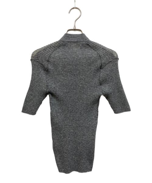 Plage（プラージュ）Plage (プラージュ) SHEER RIB POLO ニット グレー サイズ:	SIZE Freeの古着・服飾アイテム