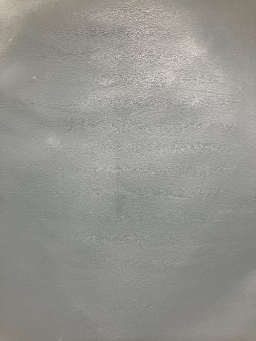 BOTTEGA VENETA（ボッテガベネタ）BOTTEGA VENETA (ボッテガベネタ) THE POACH LEATHER BAG/ザポーチレザーバックパック グレーの古着・服飾アイテム
