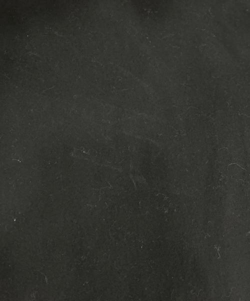 Barbour（バブアー）Barbour (バブアー) LOOSE BEDALE ブラック サイズ:48の古着・服飾アイテム