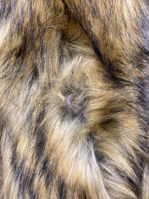 VIAVANDA（ヴィアヴァンダ）VIAVANDA (ヴィアヴァンダ) ファーコート ブラウン サイズ:FREEの古着・服飾アイテム