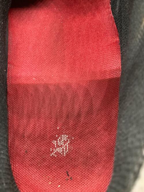 THE NORTH FACE（ザ ノース フェイス）THE NORTH FACE (ザ ノース フェイス) トレッキングブーツ グレー サイズ:25.5の古着・服飾アイテム