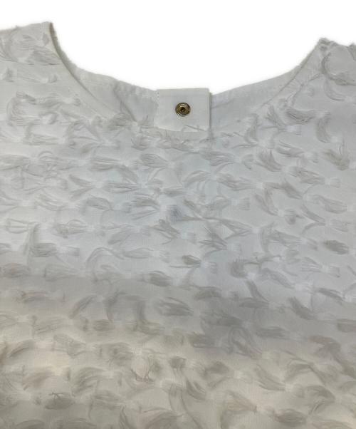 Gypsohila（ジプソフィア）Gypsohila (ジプソフィア) Fairy Tops ホワイト サイズ:Freeの古着・服飾アイテム
