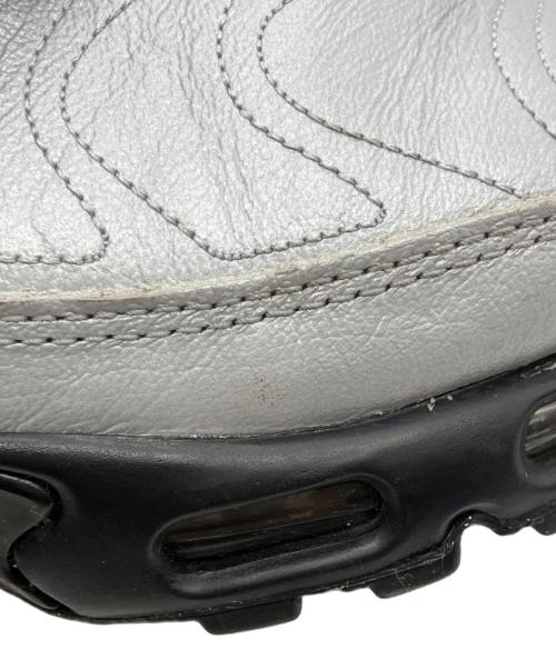 NIKE（ナイキ）NIKE (ナイキ) スニーカー シルバー サイズ:28の古着・服飾アイテム