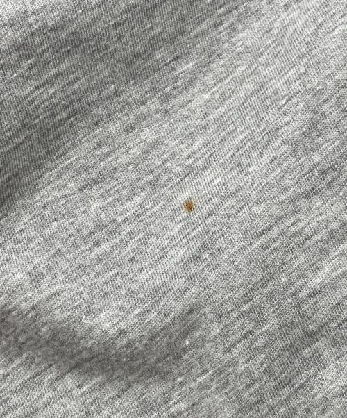 stussy（ステューシー）stussy (ステューシー) ラインストーンプリントロゴTシャツ　	USA製 グレー サイズ:Lの古着・服飾アイテム