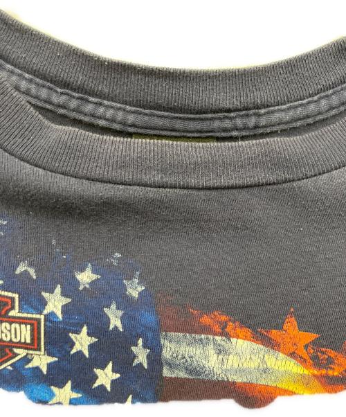 HARLEY-DAVIDSON（ハーレーダビッドソン）HARLEY-DAVIDSON (ハーレーダビッドソン) ロングスリーブカットソー ネイビー サイズ:Lの古着・服飾アイテム