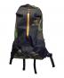 ARC'TERYX（アークテリクス）の古着「ARRO 22　リュック」｜ブラック×グリーン