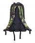 ARC'TERYX (アークテリクス) BEAMS (ビームス) ARRO 22　リュック ブラック×グリーン：20000円
