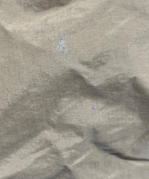 THE NORTH FACE（ザ ノース フェイス）THE NORTH FACE (ザ ノース フェイス) クラスファイブ カーゴショーツ ベージュ サイズ:M 未使用品の古着・服飾アイテム