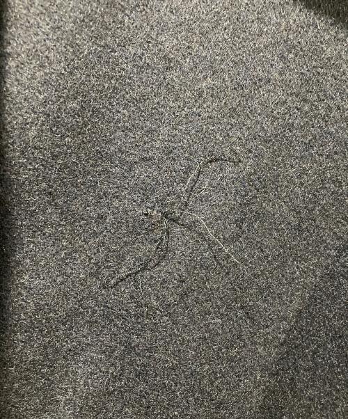 agnes b homme（アニエスベーオム）agnes b homme (アニエスベーオム) ダブルウールコート ネイビー サイズ:46の古着・服飾アイテム