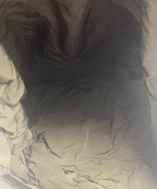 BOTTEGA VENETA（ボッテガベネタ）BOTTEGA VENETA (ボッテガベネタ) BOTTEGA VENETA　ウェビング　パッカブルトートバッグ ブラックの古着・服飾アイテム