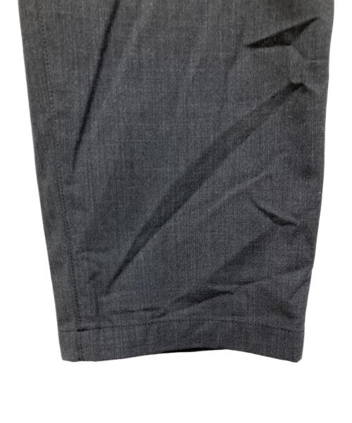 THE NORTH FACE（ザ ノース フェイス）THE NORTH FACE (ザ ノース フェイス) Coyote Slacks グレー サイズ:Lの古着・服飾アイテム