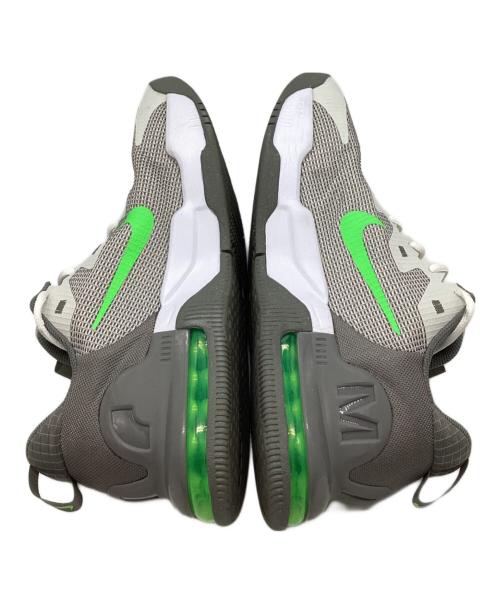 NIKE（ナイキ）NIKE (ナイキ) AIR MAX ALPHA TRAINER 5 グレー サイズ:29の古着・服飾アイテム