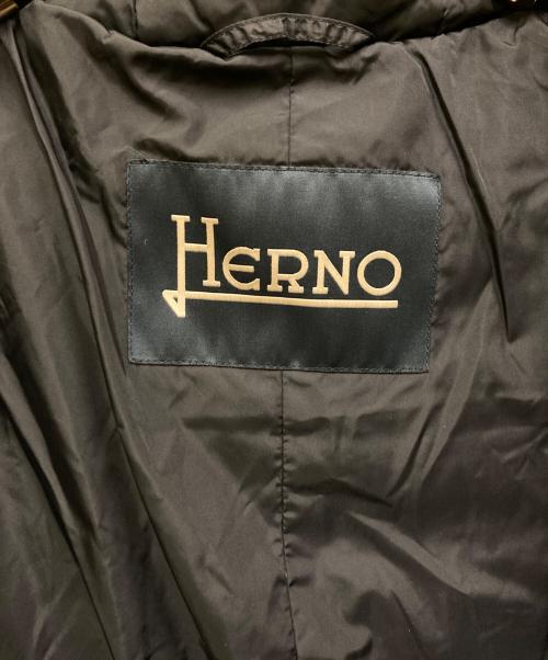 HERNO（ヘルノ）HERNO (ヘルノ) ポーラテック ダウン コート ジャケット ブラック サイズ:52の古着・服飾アイテム