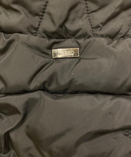 HERNO（ヘルノ）HERNO (ヘルノ) ポーラテック ダウン コート ジャケット ブラック サイズ:52の古着・服飾アイテム